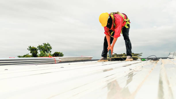 Best Steel Roofing  in Coupeville, WA